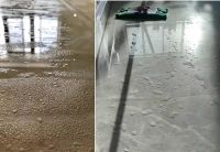 天格中国高端实木地板：童年的快乐应该被真诚守护