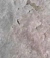 试水10天？防水层起皮开裂！