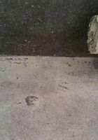 试水10天？防水层起皮开裂！