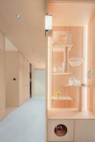 兔宝宝实力参建浙江省“好房子”展，从四大维度构筑“未来家”