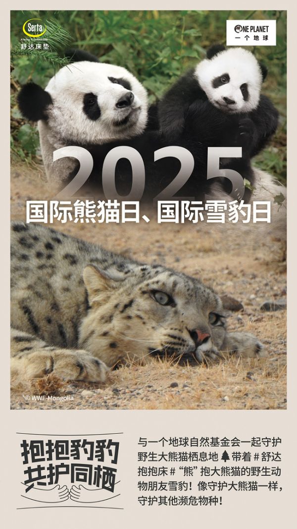 绿色栖息 守望未来,舒达如何定义可持续性睡眠?