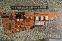 纹艺觉醒，价值重构｜千年舟“纹艺觉醒”背后的家居产业三重破局之道