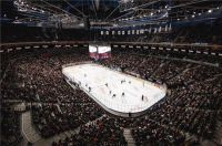 深化本土体育布局！海尔捷克续约布拉格斯巴达冰球队