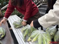 浙江金凯门业：深秋玉米递暖意，守护每一位坚守者