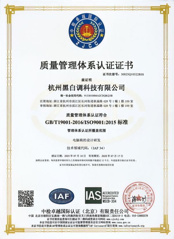 黑白调荣膺国际级质量认证，吴晓波赞誉AI技术引领行业变革