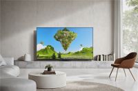 全球KOL也“追星”！科技博主在海信见证RGB-Mini LED色彩奥秘