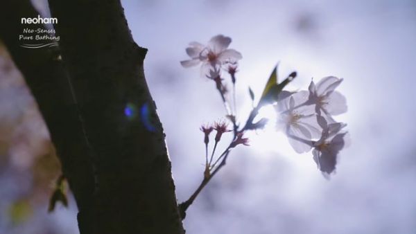 纽汉沅系列入墙淋浴，一淋见诗意