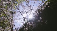 纽汉沅系列入墙淋浴，一淋见诗意