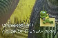 芬琳漆亮相2025广州设计周：以色彩与自然能量，打开生活的更多可能