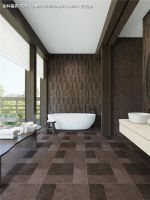 状元上新 | 天啊！这款莱姆石瓷砖我都看不下去了