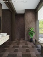 状元上新 | 天啊！这款莱姆石瓷砖我都看不下去了