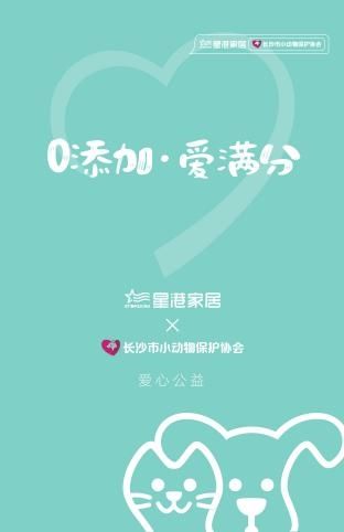 买张床垫还能救助流浪动物？星港焕新垫携公益暖心上新