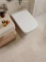 状元上新 | 宝藏实锤！这莱姆石花砖是懂高级的