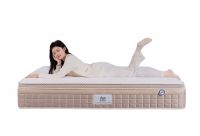 买张床垫还能救助流浪动物？星港焕新垫携公益暖心上新