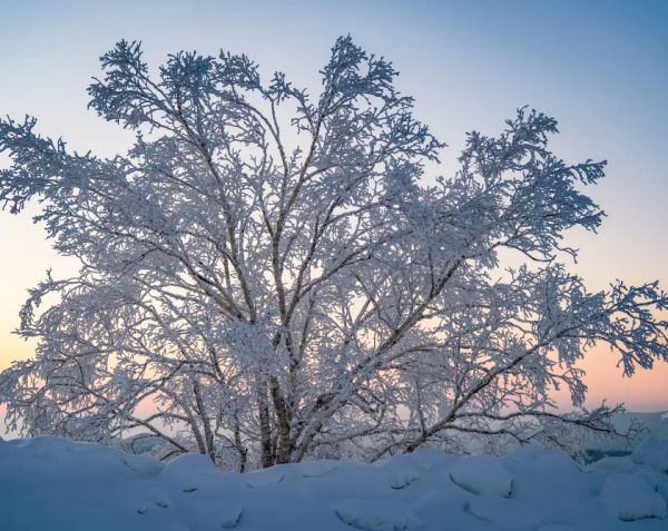 佳华系统门窗|寒潮来袭室温低？竟是门窗在“漏暖”！