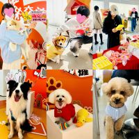 数字+焕新体验：万众城家居推出年终智慧生活方案