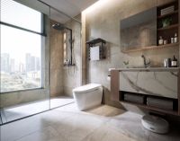 卓越向新 诠释从容新生活TOTO G5B智能一体型坐便器即将面世