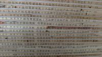 破解定制家居门板痛点 杰业特级新杉木实心SPC+PET门板重磅来袭