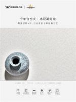 千年官窑火，淬炼现代家：粤强宗师M9以冰裂千玺，续写东方美学
