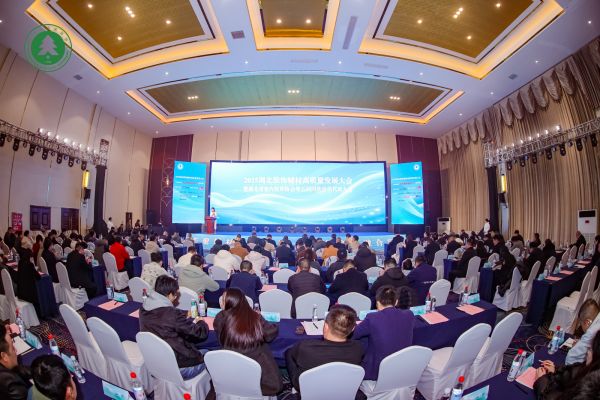 深耕旧改 向新而行│老兵团旧房翻新装饰出席2025湖北装饰辅材高质量发展大会