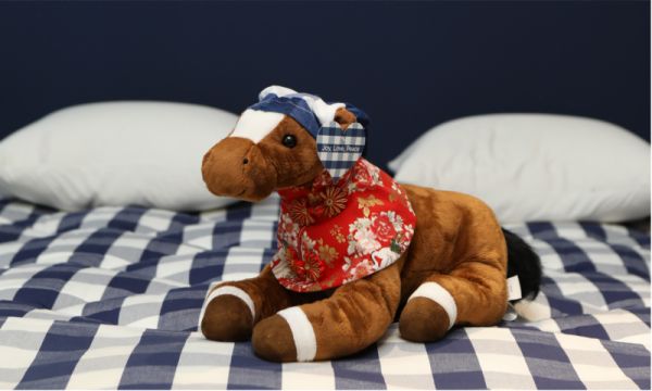 “睡”出好运势!海丝腾臻选年货解锁“马上好梦”