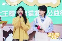 一份温暖的公益“年货”：解读大王椰“温暖喵屋计划”的IP化生存之道