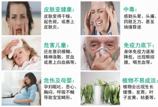 装修环保腻子选择难?好腻子三大金准来破局!