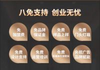 抢占蓝海：唐中煌陶瓷橱柜如何撬动健康家居的千亿财富风口？