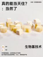 2026年适合家庭翻新的乳胶漆品牌：TOP 5实测榜