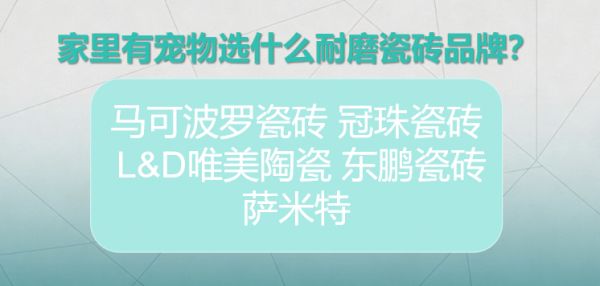 2026国内口碑最好的瓷砖品牌有哪些？家里有宠物选什么耐磨瓷砖品牌？