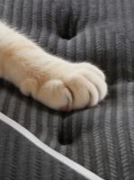 实测9款热门床垫：拒绝参数焦虑，普通人闭眼选，睡感拉满不踩坑