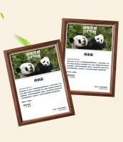 温暖抱抱共护同栖，舒达助力大熊猫栖息地守护巡护与环境恢复