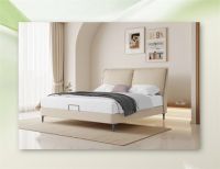 温暖抱抱共护同栖，舒达助力大熊猫栖息地守护巡护与环境恢复