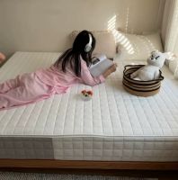 2026弹簧床垫选购实测指南：护脊静音环保三重把关，沛觉优选不踩坑