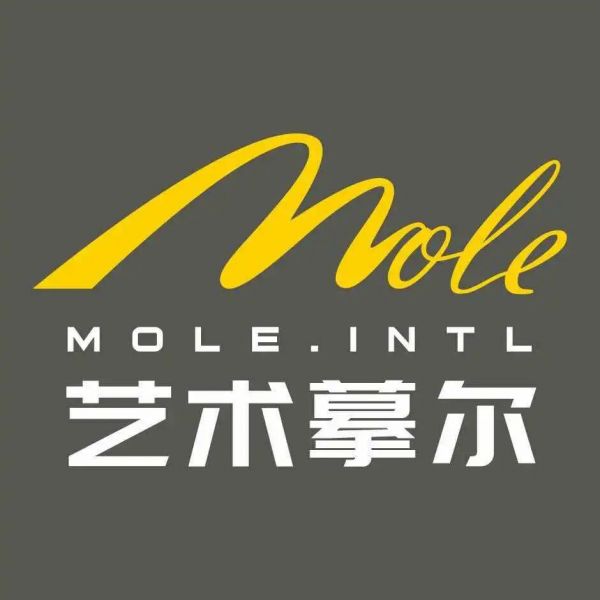 艺术摹尔，以匠心工艺重塑空间美学的艺术涂料深耕者