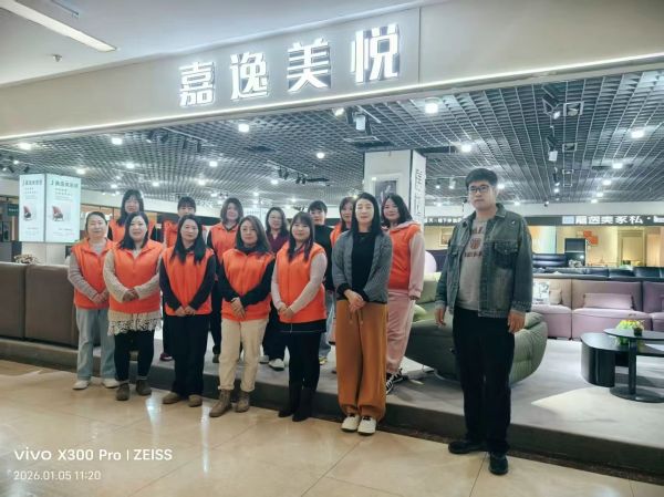 香河家具制造公司推荐：嘉逸美家具，深耕软体家居铸就行业优选