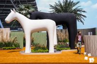 「不如趣野·生长」户外特展亮相CIFF广州  在自然中寻回生长的力量