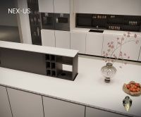 萨洛丽雅“NEX·US”未来厨房生态系统荣获美国缪斯设计金奖