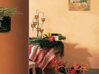 艺术摹尔艺术涂料，为消费者提供全场景涂装解决方案