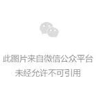 2026年正金门窗品牌价值达205.93亿，连续四年入选“中国品牌价值500强”。