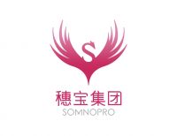 2026年十大名牌床垫对比：护脊、静音、环保应该怎么选？