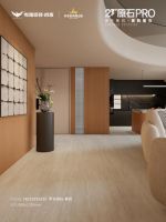 ​23°原石pro｜别有“洞”天，“石”力呈现