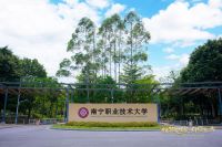 纹艺觉醒，舟行东方｜千年舟设计大赛走进南宁，八桂风情激荡民族设计新声