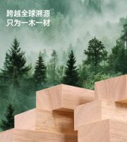 匠心护梦・坐姿护航 光明园迪以工学科技守护儿童健康成长