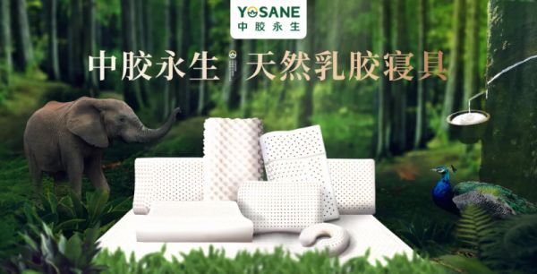 深度解读中胶永生“低蛋白技术”，如何从分子层隔绝过敏原