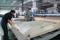 深度解读中胶永生“低蛋白技术”，如何从分子层隔绝过敏原