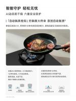 火候自有分寸 美味轻松成就，林内星厨3.0 AI轻松灶全新登场 限时发布