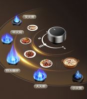精控猛火，爆炒鲜香丨SAKURA樱花燃气灶S510G让每一餐都有滋有味