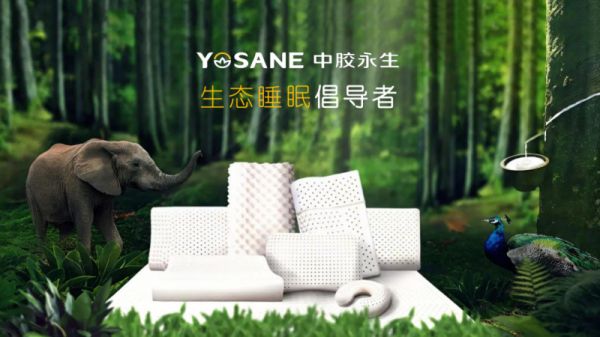 深耕健康时代,中胶永生谱写康养产业新篇