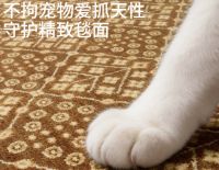 中高端地毯品牌哪家好？2026年五款高质感品牌推荐，养宠有孩家庭速看